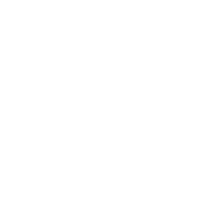 exclusive experiences icon